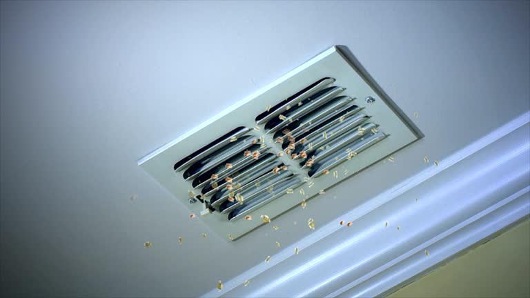 Best Air Vent Cleaning Services  in Millers Creek, NC