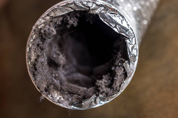 Best Best Air Duct Cleaning Company  in Millers Creek, NC